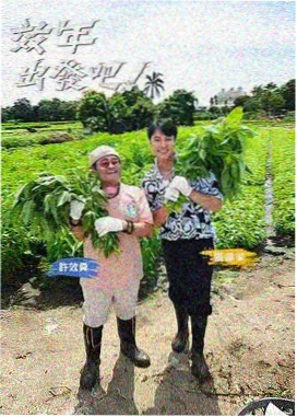 厨房辩论赛 综艺海报